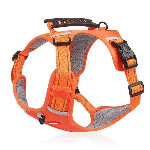 Tug-Free Dog Walking Harness