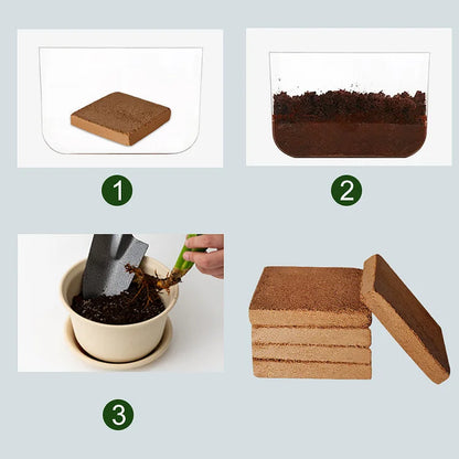 CocoBrick™ - Organic Coconut Coir for Plants