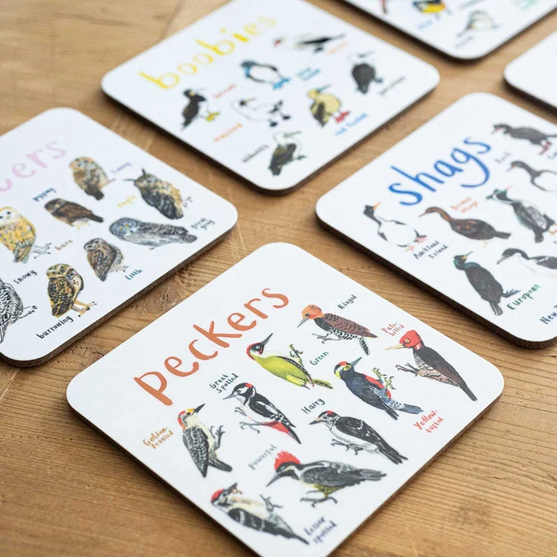 🐦Set of 6 Bird Pun Coasters