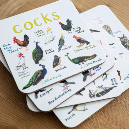 🐦Set of 6 Bird Pun Coasters