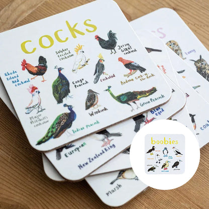 🐦Set of 6 Bird Pun Coasters