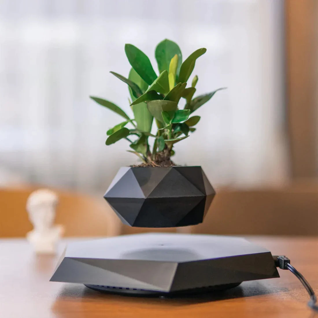 AeroGarden - Levitating Air Bonsai Flower Pot