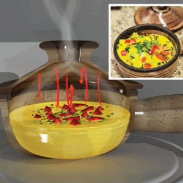 Microwave Ceramic Cooker With Gourmet Recipes