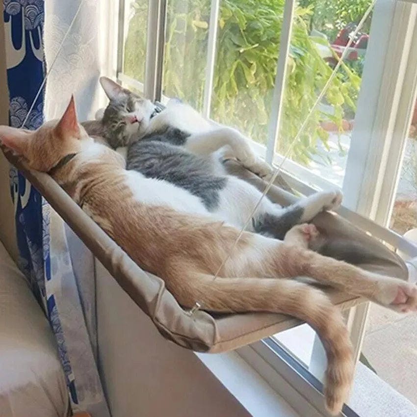 SaveComfy™ Cat Window Hammock