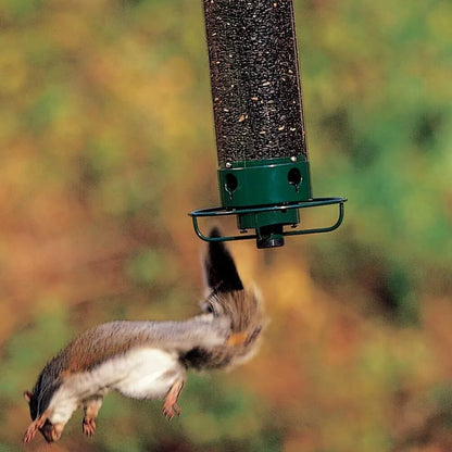 Squirrel Proof Automatic Bird Feeder