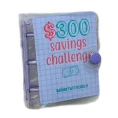 Smart Saver Mini Challenge Binder